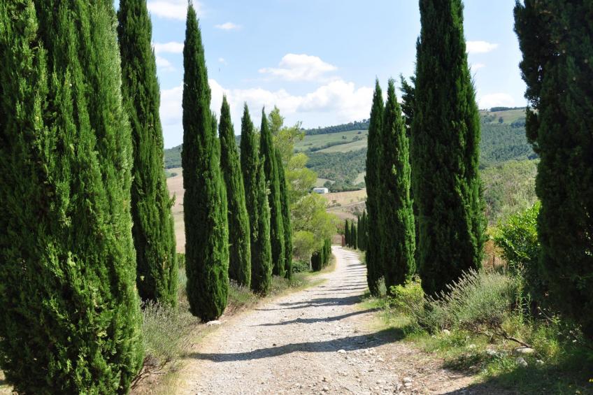 Bauernhof "Cetona - foto 19