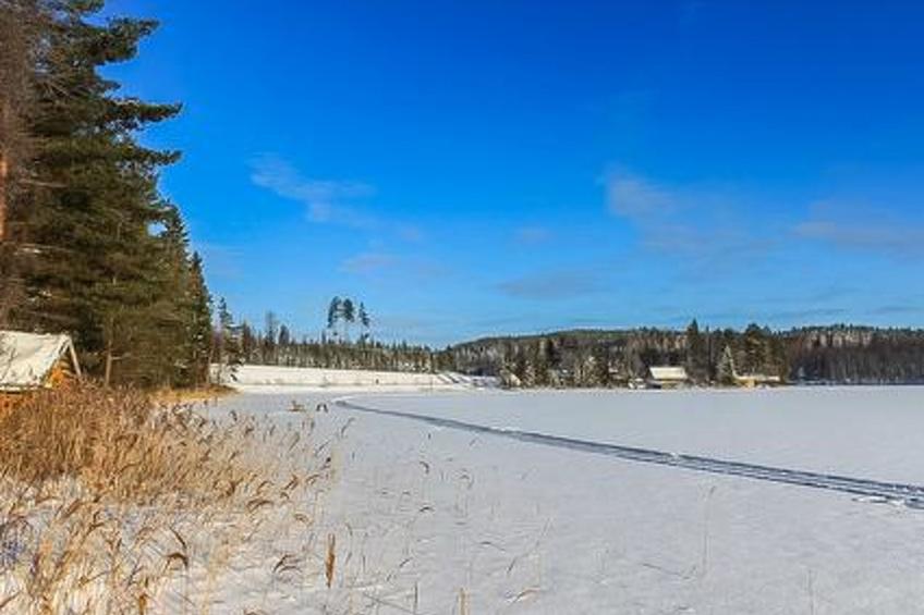 Cape oasis - foto 12