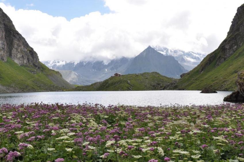Chalet 3 Zi. in ruhiger Lage, in der Nähe von Verbier - foto 25