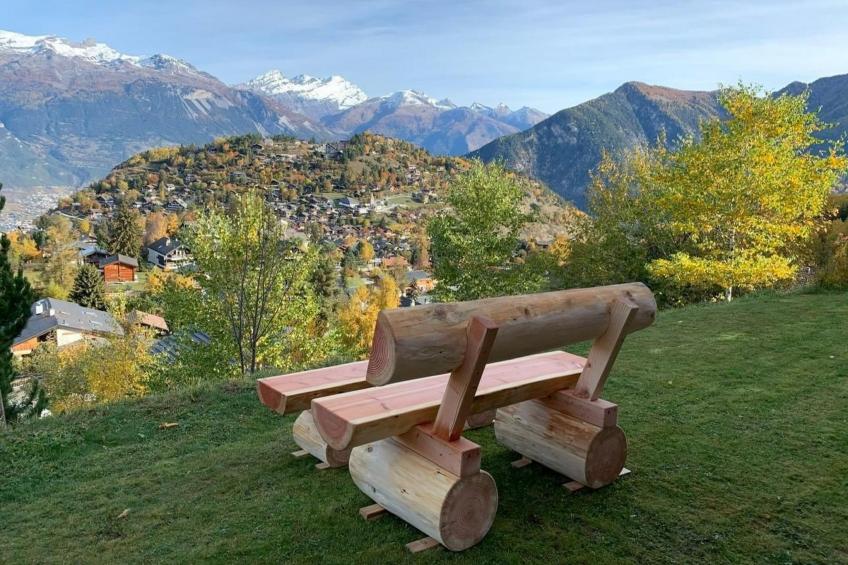 Blue Merle - foto 33