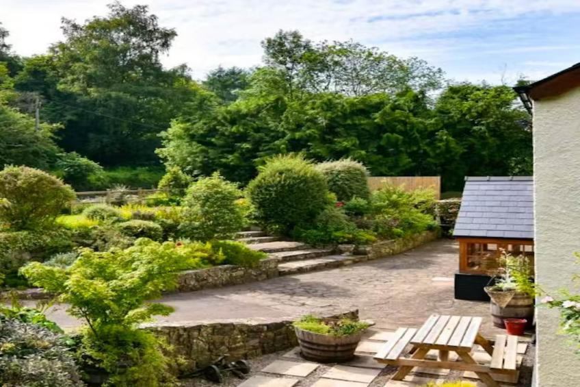 The Anchor - foto 32