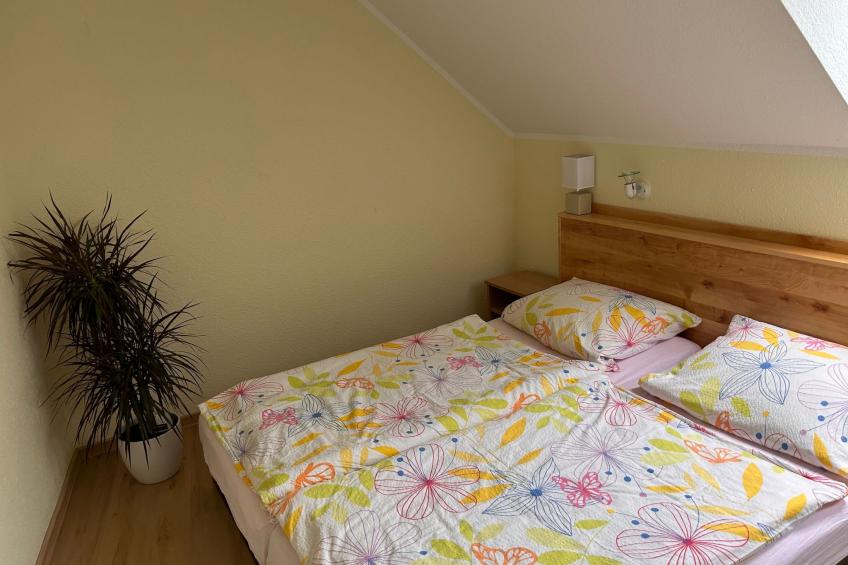 am Schwielochsee - foto 5