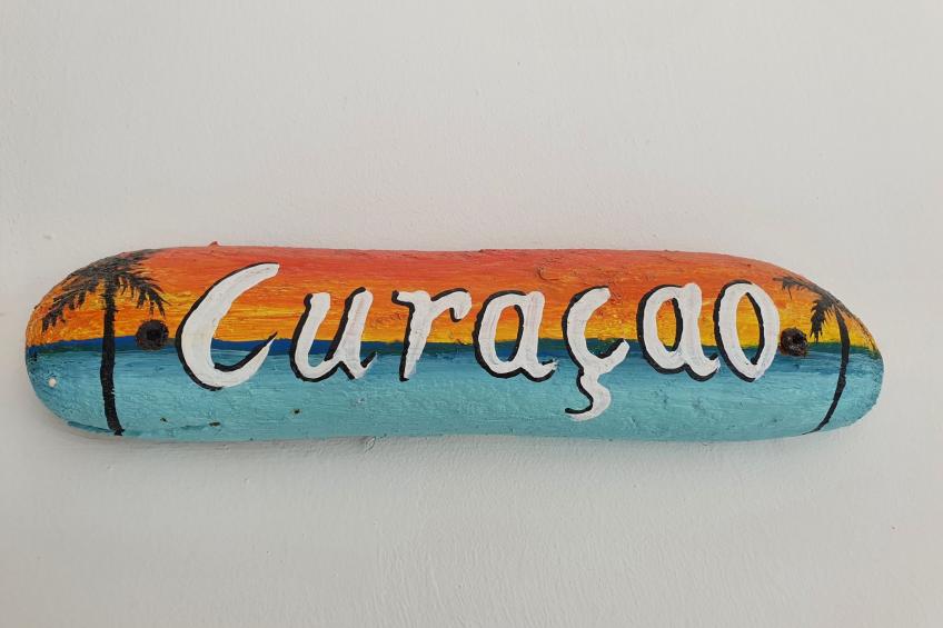 Schöne Familienwohnung mit großer Veranda in Curacao Jan Thiel - foto 14