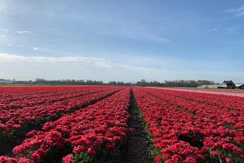 Duinresort Dunimar 2 - foto 33