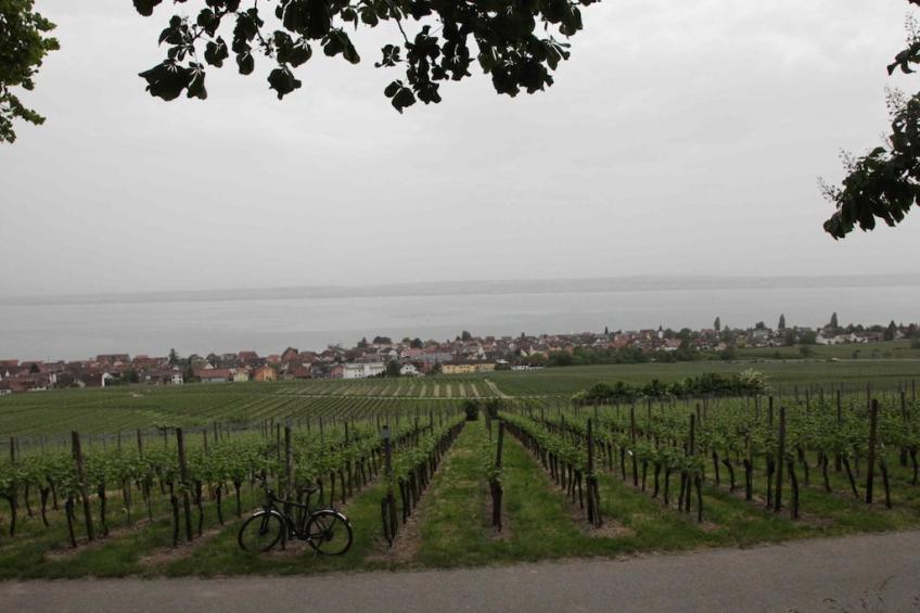 164255 - foto 19