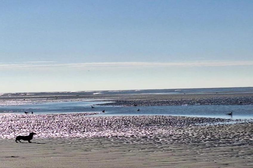 Berck sur Mer 8 - foto 39