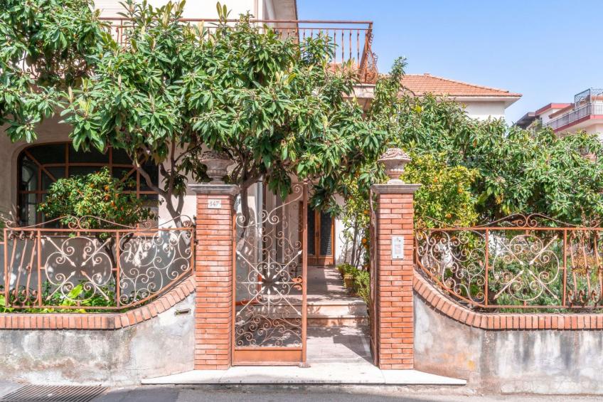 Die Orange und der Goldfisch - foto 20