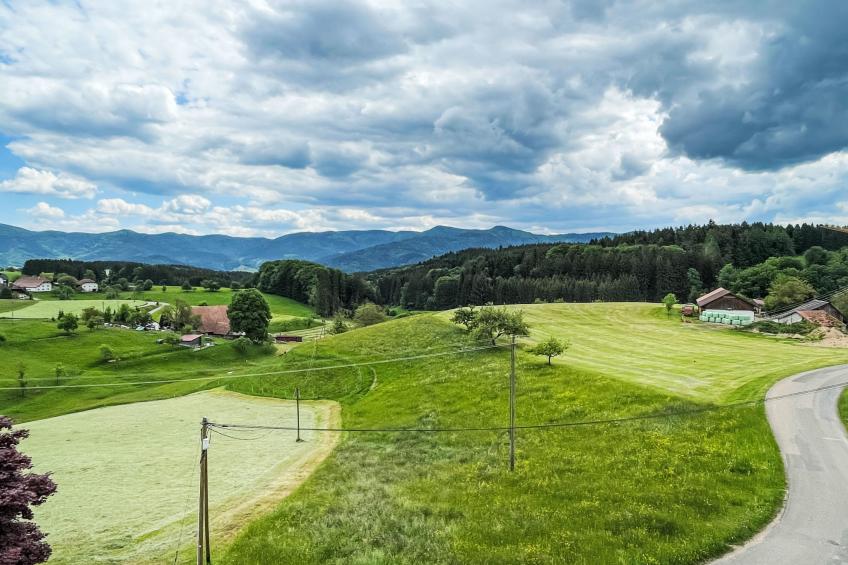 Panoramablick - foto 20