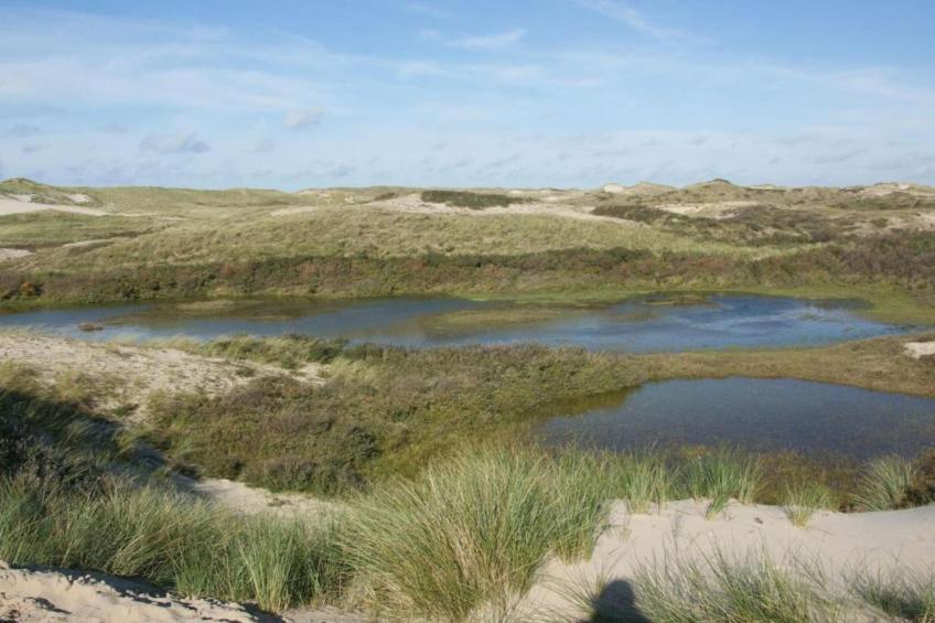 De Beukelaar 2pers - foto 38