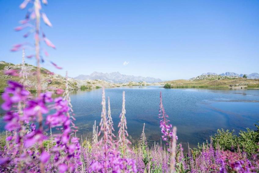 Maison de vacances - OZ EN OISANS - foto 40