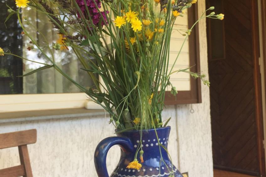 Datscha im Grünen - foto 27