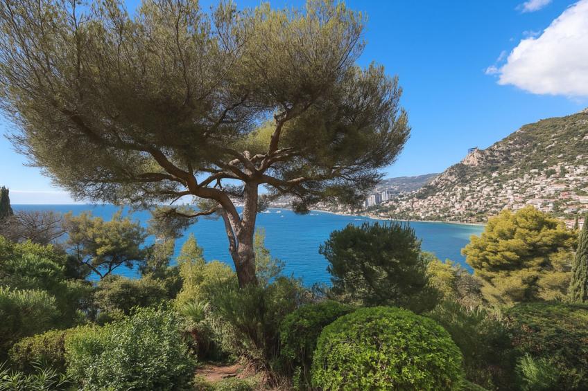 Parc Massolin - foto 31