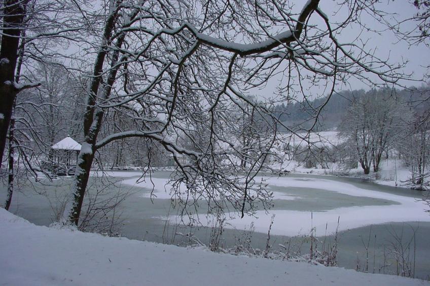 in Holzhausen mit Grill und Terrasse - foto 26