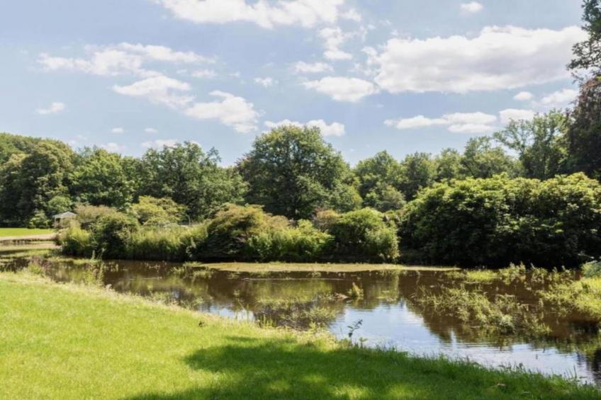 Hulshorsterhout - foto 36