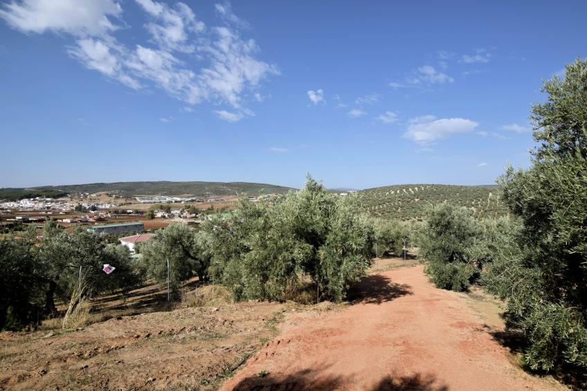 Casa Victor y Celia - foto 37