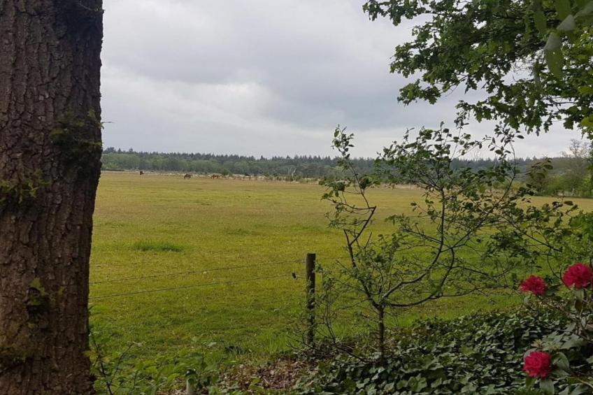 Hof van Salland - foto 35