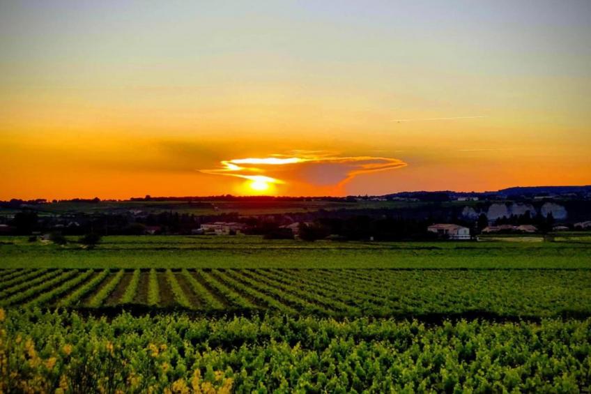 Entre Lubéron et Avignon - foto 35