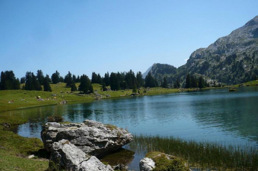 Chalet Ried - foto 41