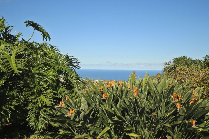 Finca Tocama - foto 6