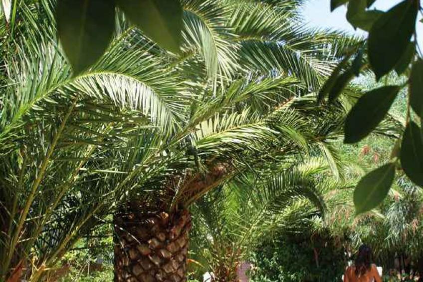 Hotelapartment in einer Hotelanlage - BF-K2HBK - foto 6