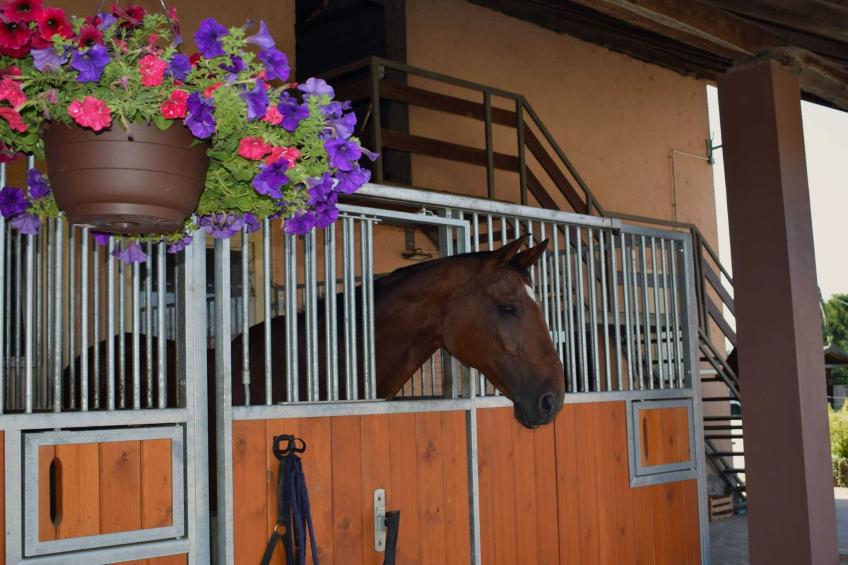 Zevnik Quiet Retreat with Stunning Views and Equestrian Activities - Triple Room with Private  Bathroom - foto 11