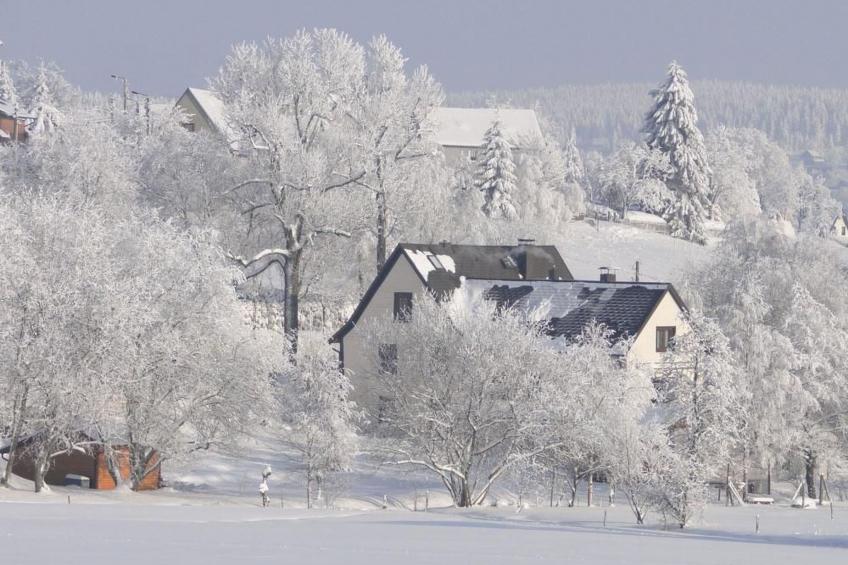 Wiesengrund - foto 19
