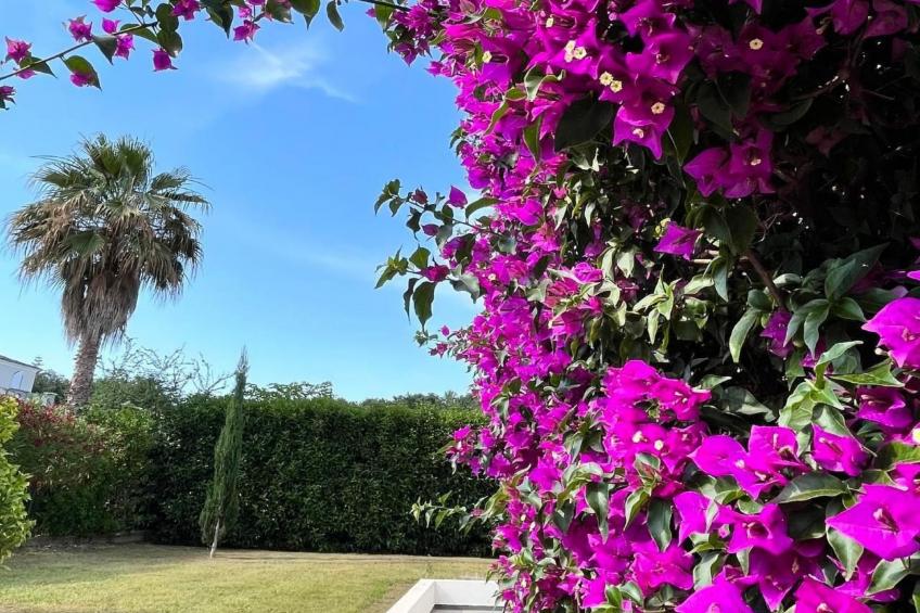 Résidence Amanda - foto 20