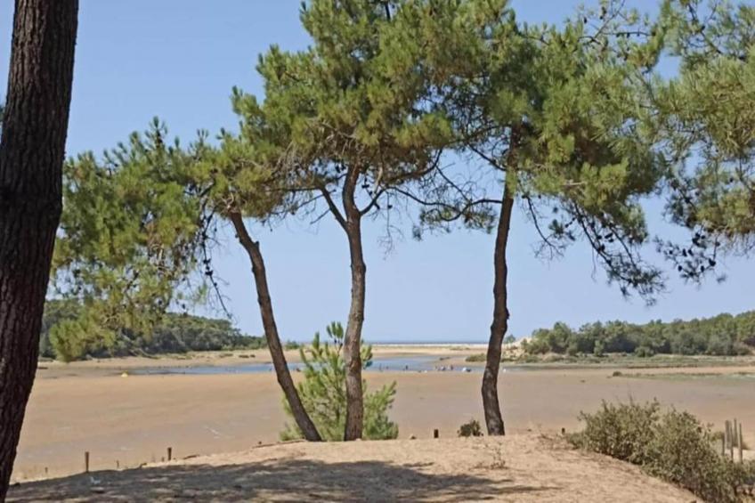 Maison de vacances - AVRILLÉ - foto 32