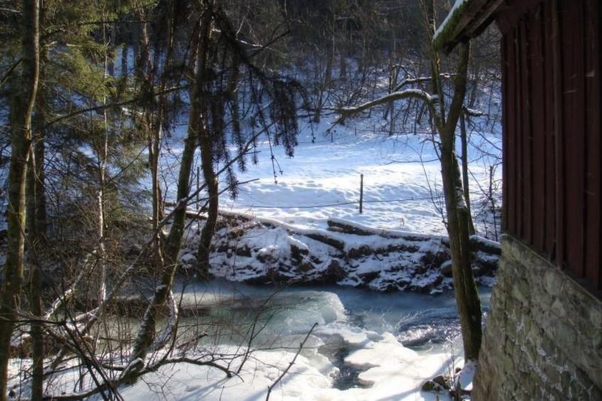 Altes Forsthaus - foto 15