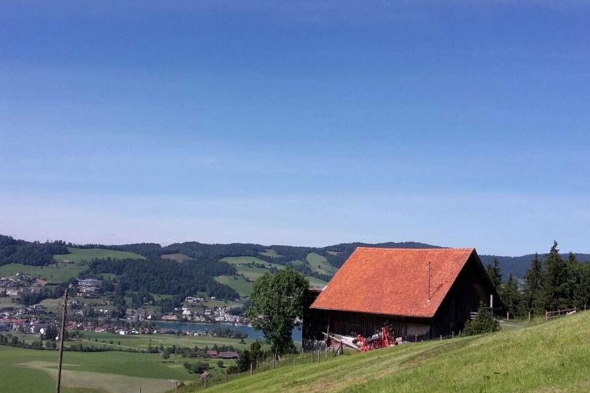 87981 - foto 3