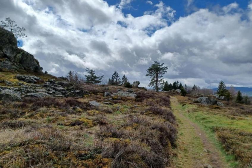 Urlaub auf dem Bauernhof - foto 38