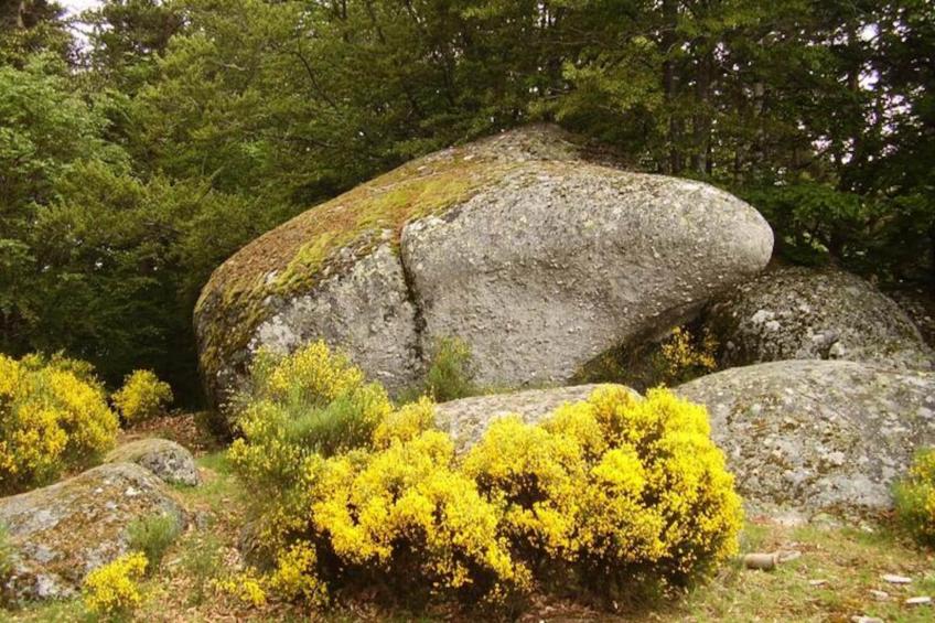 Gîte de France Gîte bienvenue à couffinet 3 épis - foto 27