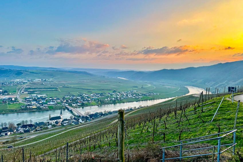 Weingut HermesLex - foto 29