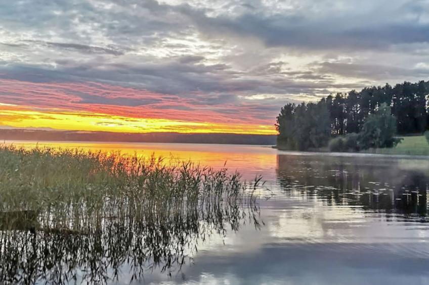 Villa sammallahti - foto 31