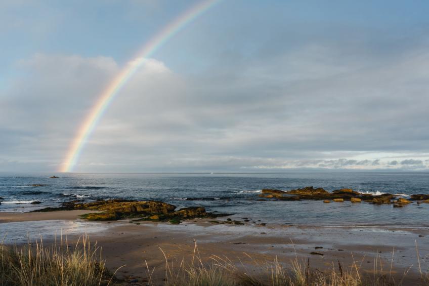 Cooriedoon - foto 41