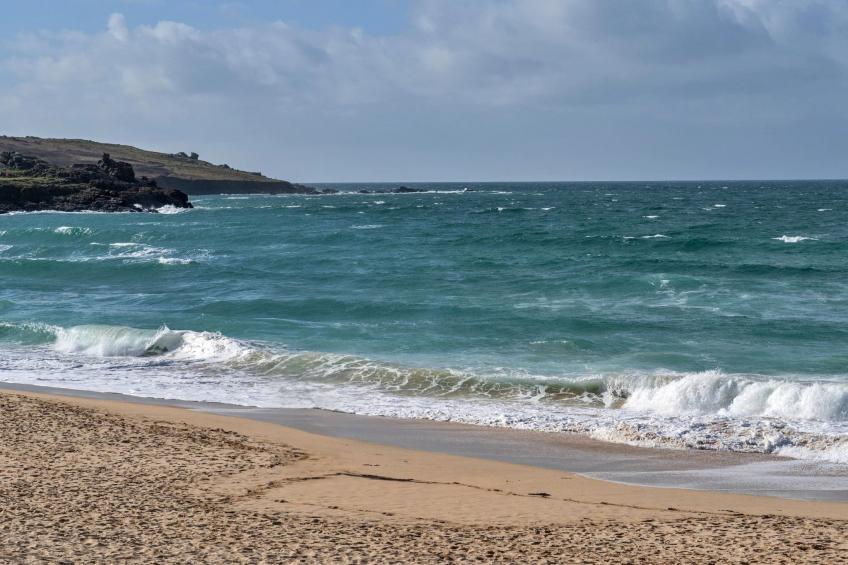 No. 5 Harlequin - foto 20