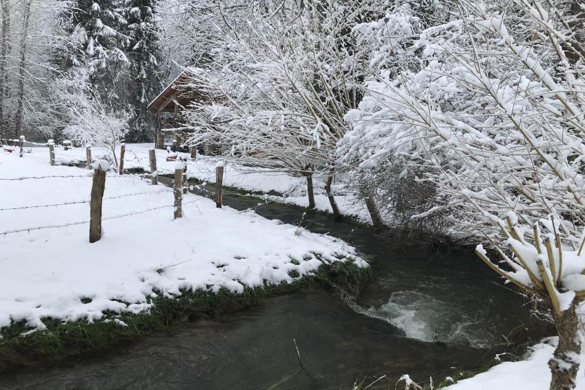 La Linotte - foto 28