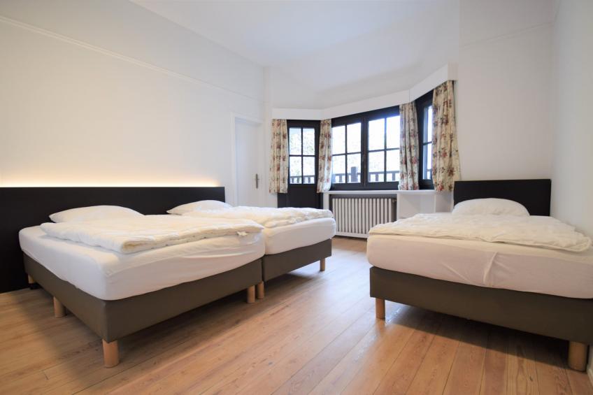 Le Château et les Forêts - foto 29