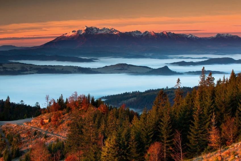 Dom wakacyjny dla 8 osób w Piwnicznej Zdroju - foto 44