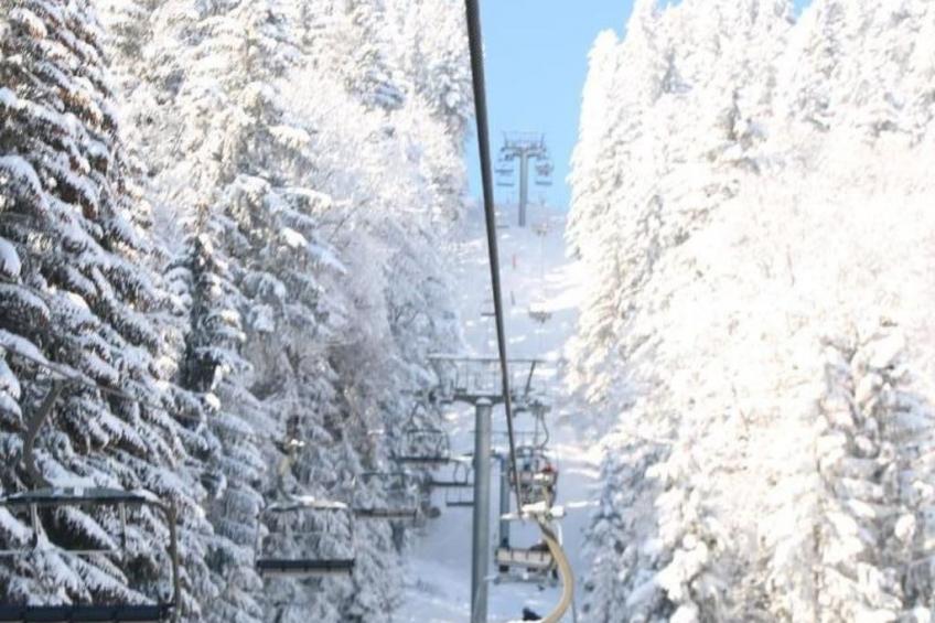 Les Narcisses,Blonay - foto 11