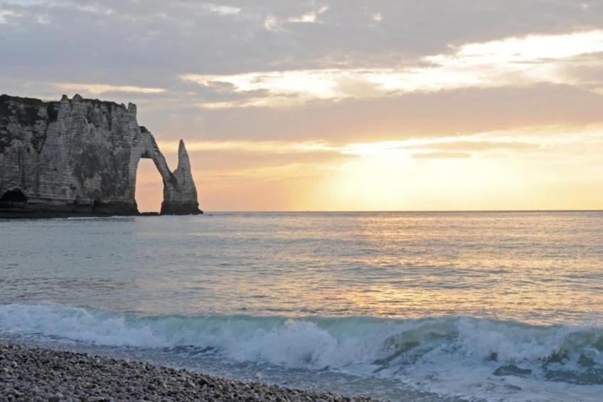 Des 3 Mathildes - foto 34