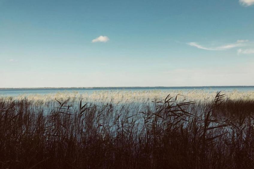 Résidence Le Petit Pont 2 - foto 30