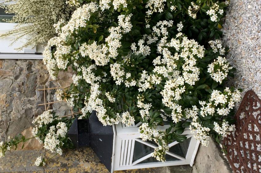 Charmantes Steinhaus in der Nähe des Meeres - foto 27