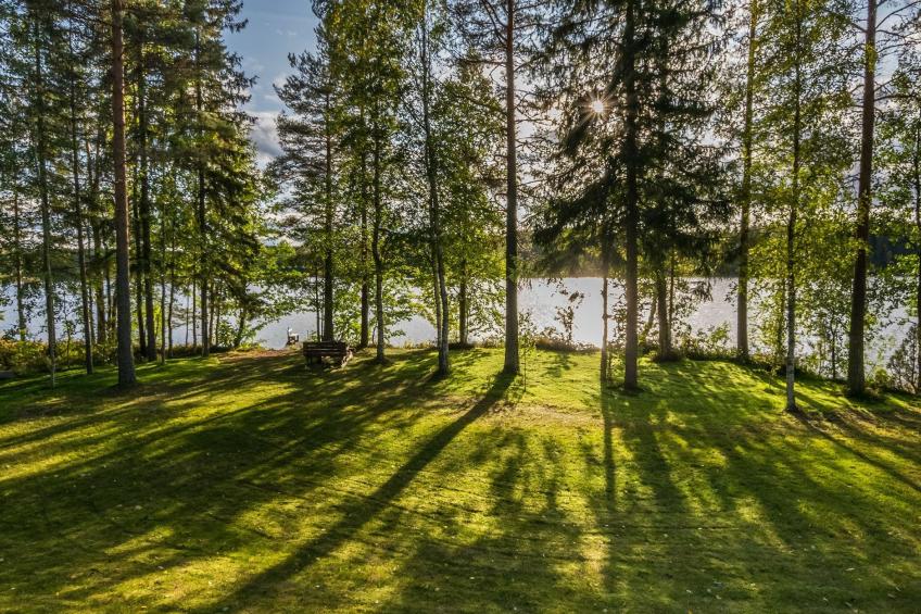 Heikinniemi - foto 20