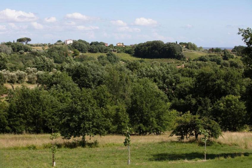 Galleria degli Artisti - foto 25