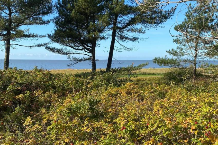 Altes Pastorenhus - foto 37