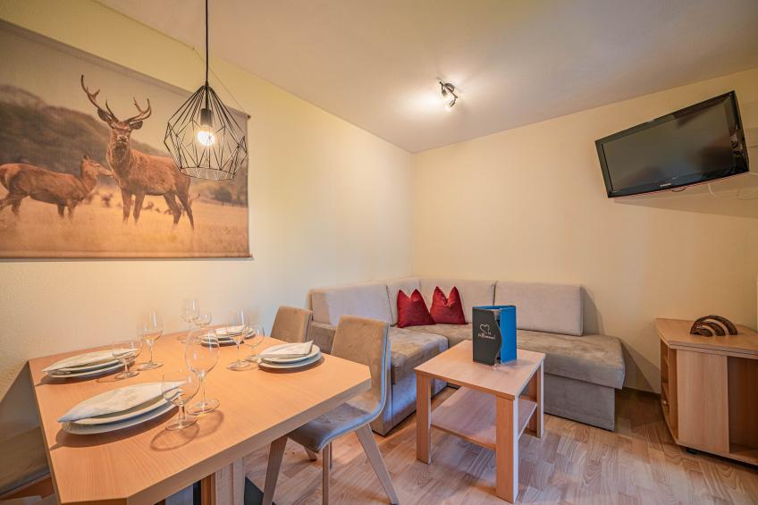 Apartments home Andrea - Cäciel, Brixen im Thale|App. 4, 40 m2 - foto 3