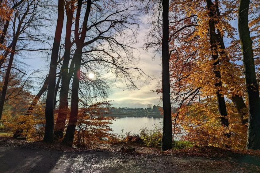 Fewo Päpke - foto 27