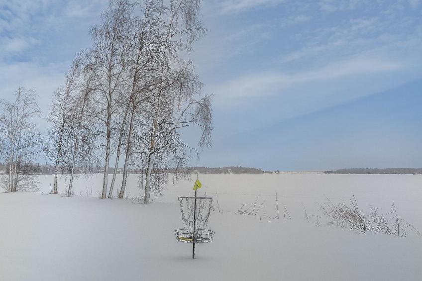 Inninniemi - foto 28