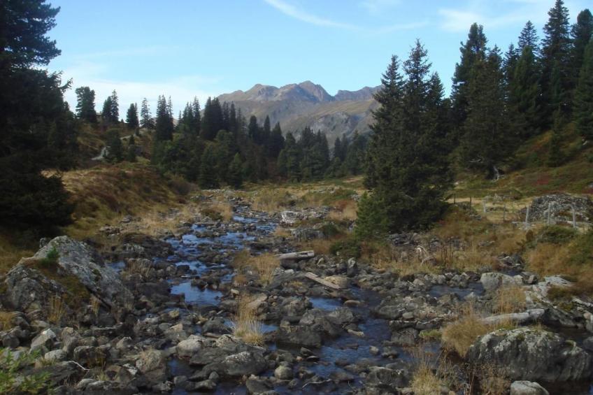 Alphütte Gental - Haslital - foto 28